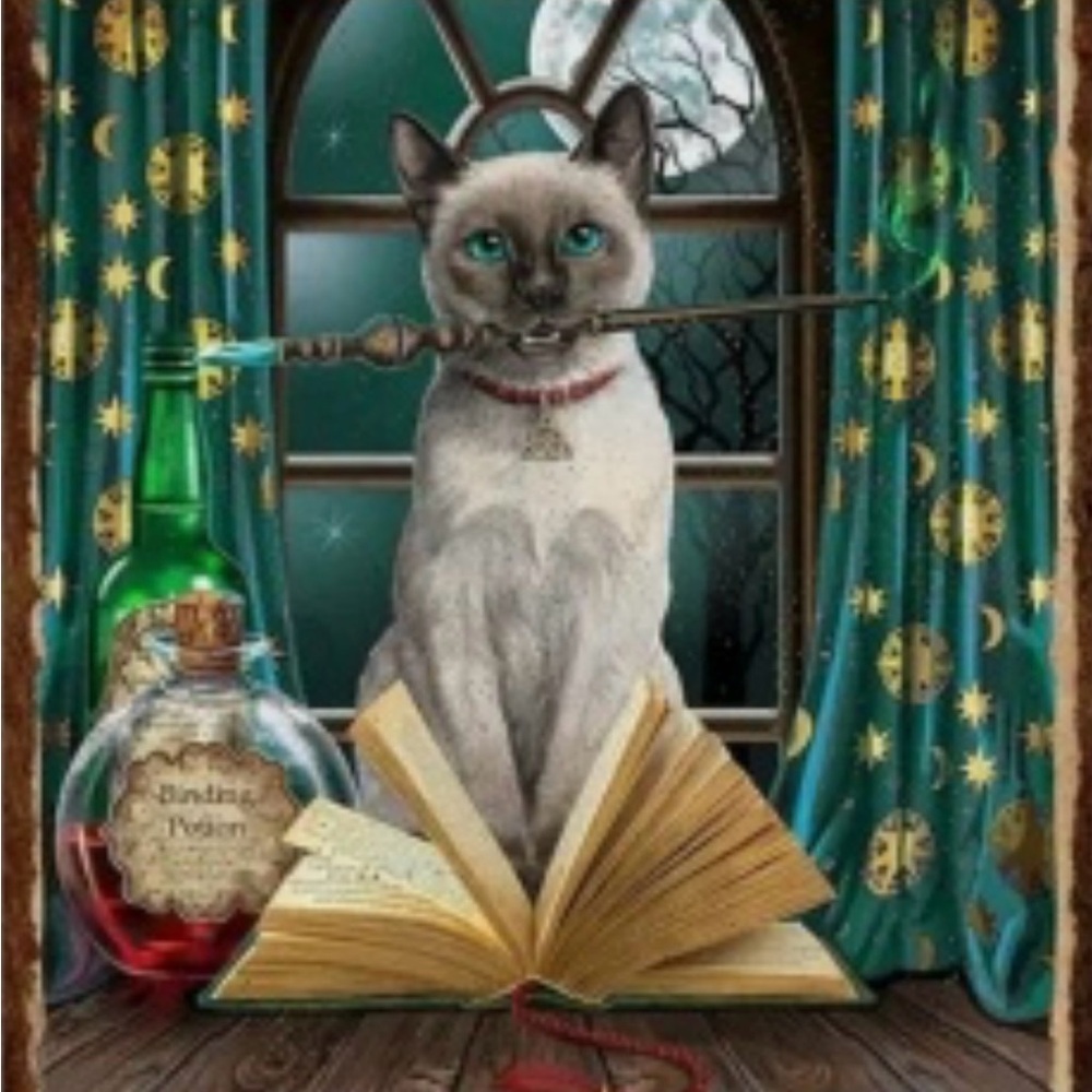 Mystical Cat Art Print